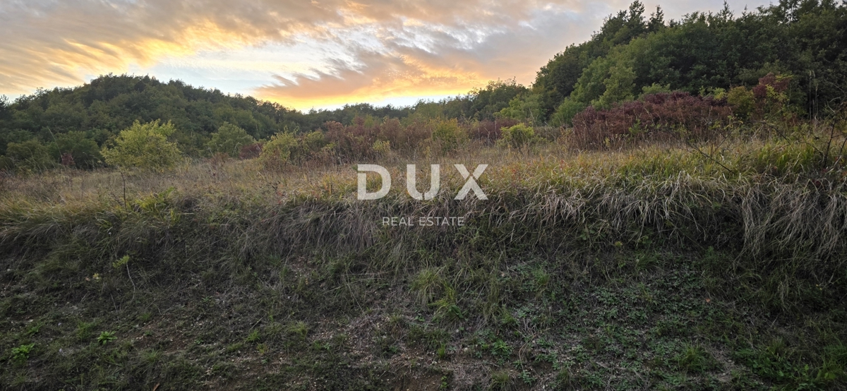 ISTRA, GRAČIŠĆE – Kmetijsko zemljišče ob makadamski cesti v bližini glavne ceste