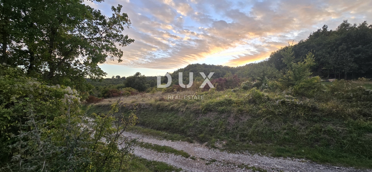 ISTRA, GRAČIŠĆE – Kmetijsko zemljišče ob makadamski cesti v bližini glavne ceste