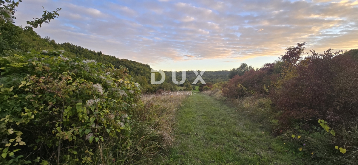 ISTRA, GRAČIŠĆE – Kmetijsko zemljišče ob makadamski cesti v bližini glavne ceste