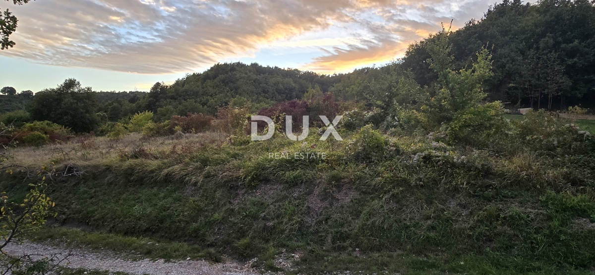 ISTRA, GRAČIŠĆE – Kmetijsko zemljišče ob makadamski cesti v bližini glavne ceste