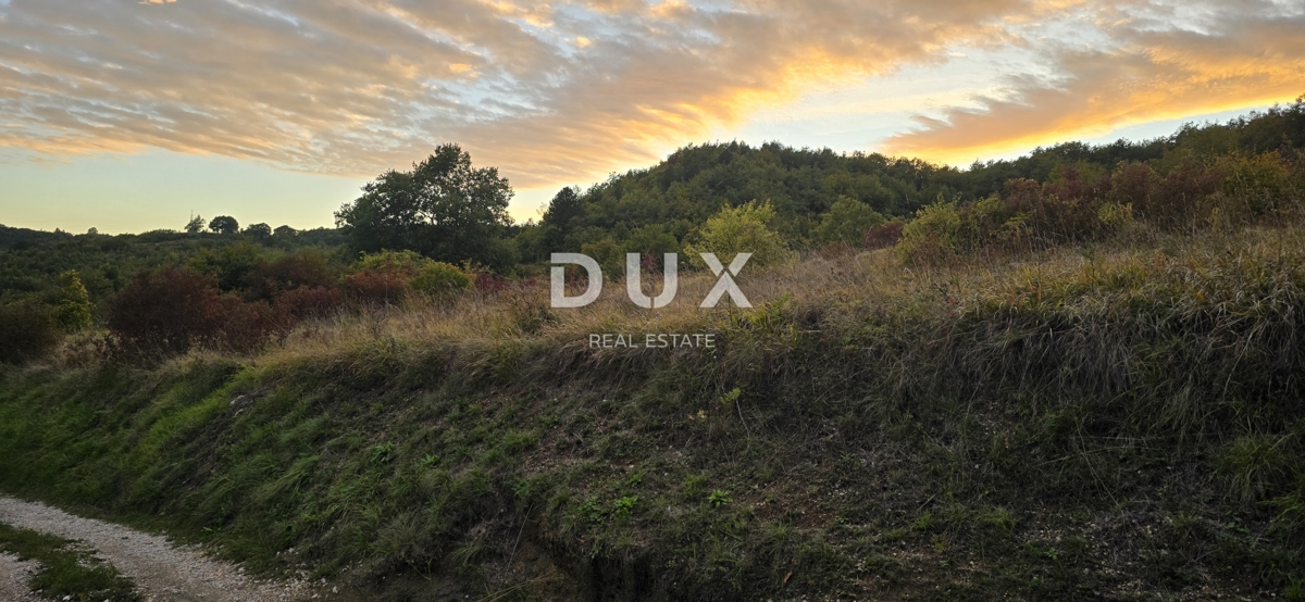 ISTRA, GRAČIŠĆE – Kmetijsko zemljišče ob makadamski cesti v bližini glavne ceste