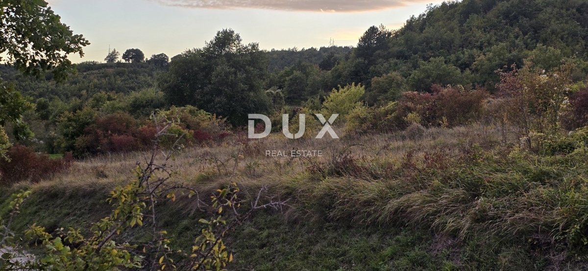 ISTRA, GRAČIŠĆE – Kmetijsko zemljišče ob makadamski cesti v bližini glavne ceste