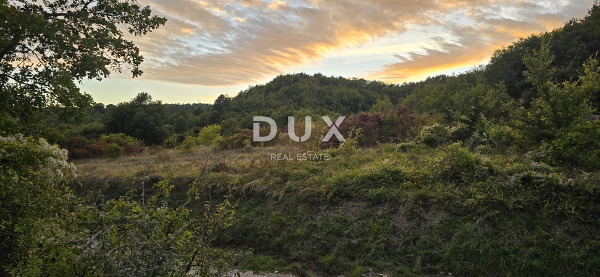 ISTRA, GRAČIŠĆE – Kmetijsko zemljišče ob makadamski cesti v bližini glavne ceste