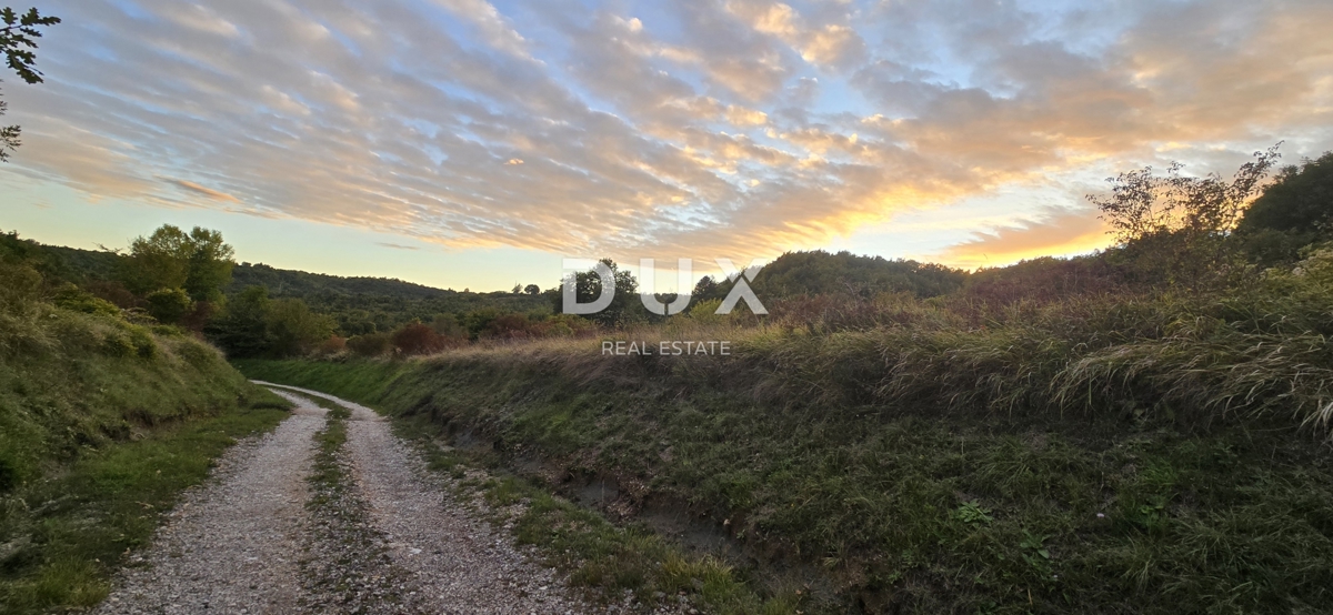 ISTRA, GRAČIŠĆE – Kmetijsko zemljišče ob makadamski cesti v bližini glavne ceste