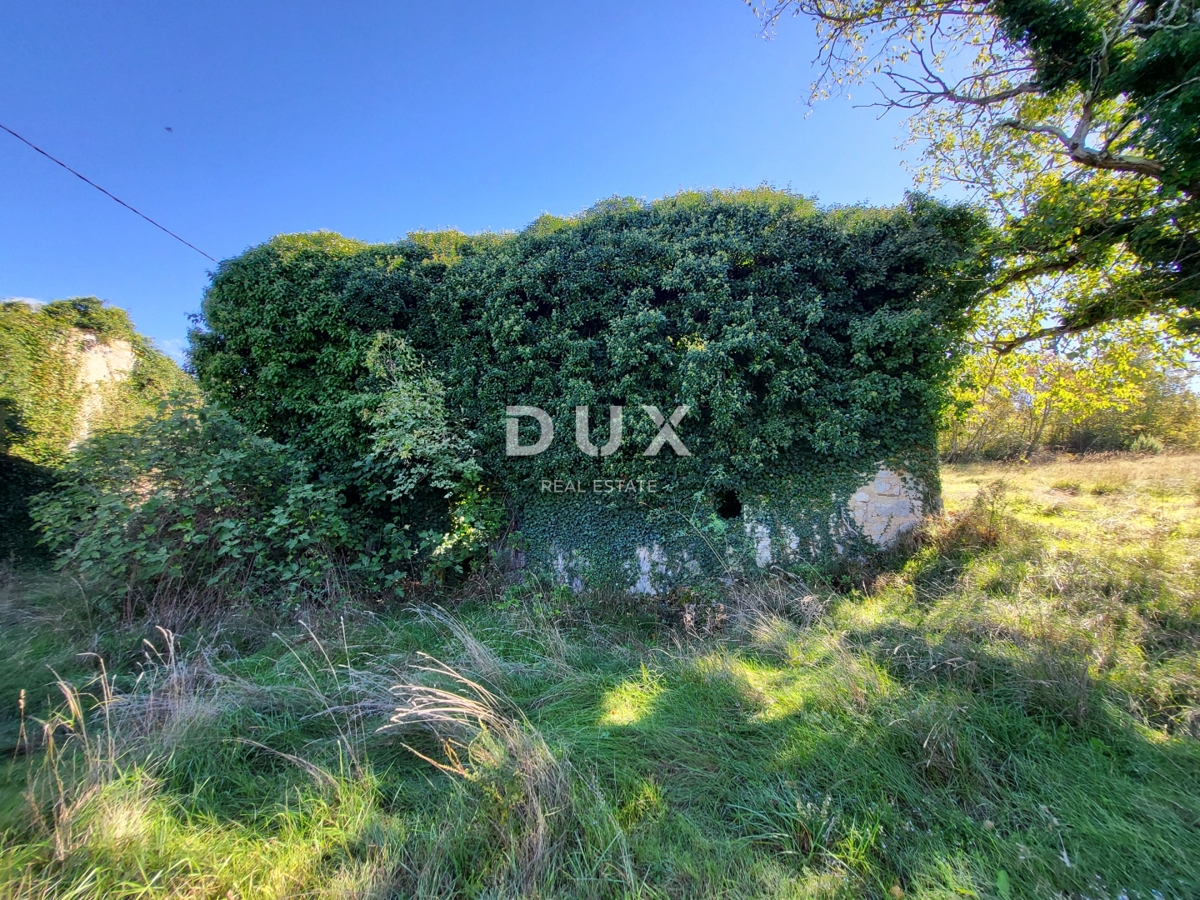 ISTRA, BOLJUN - Dve samostojni kamniti hiši z 18.000 m2 zemljišča