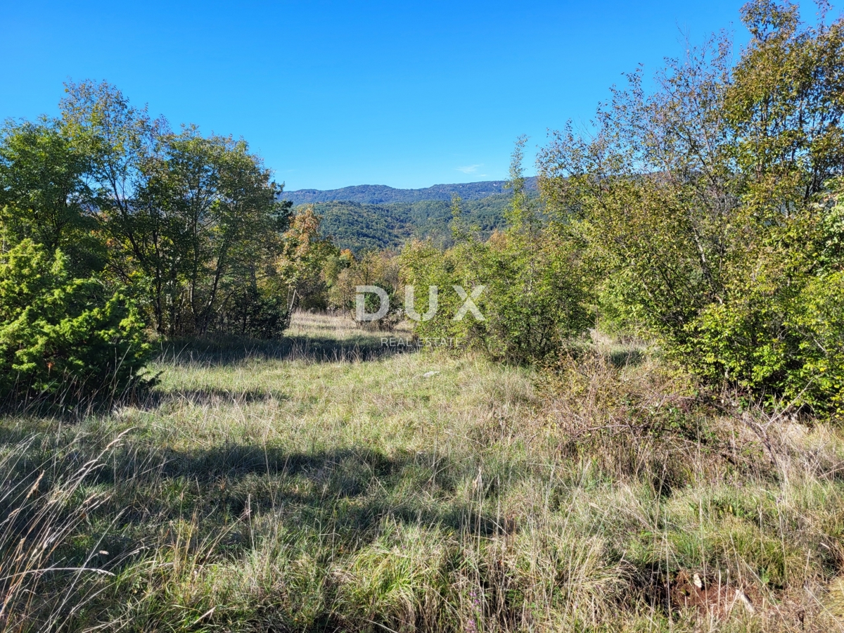 ISTRA, BOLJUN - Dve samostojni kamniti hiši z 18.000 m2 zemljišča