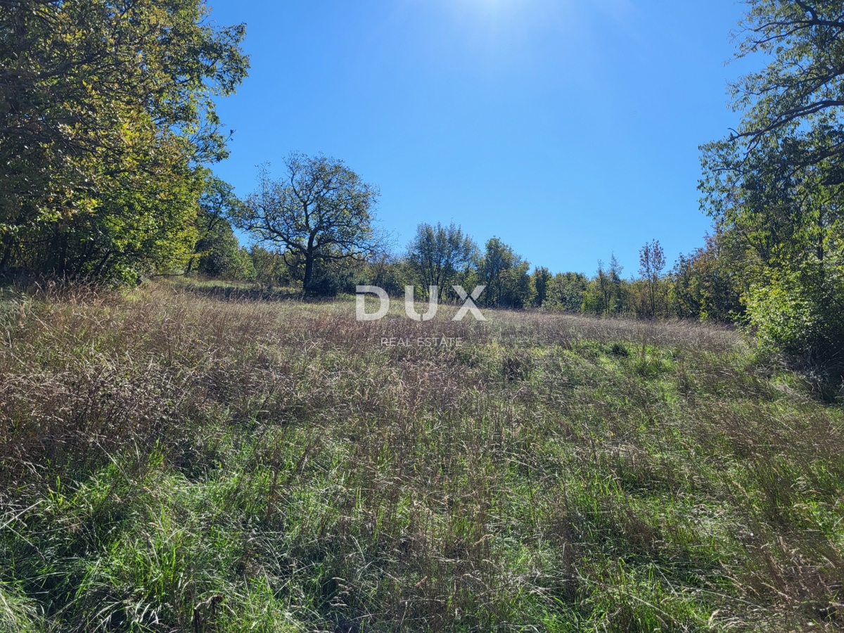 ISTRA, BOLJUN - Dve samostojni kamniti hiši z 18.000 m2 zemljišča