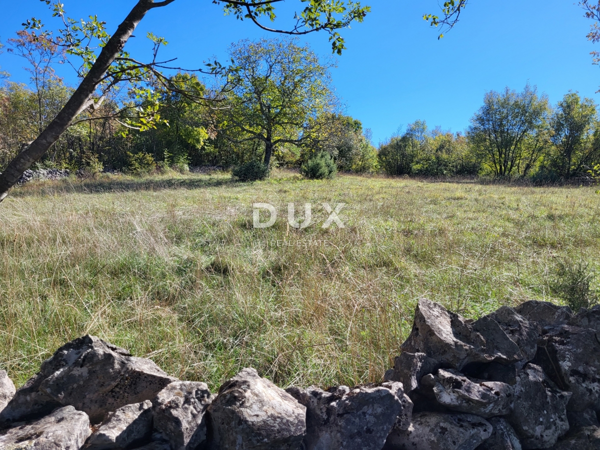 ISTRA, BOLJUN - Dve samostojni kamniti hiši z 18.000 m2 zemljišča