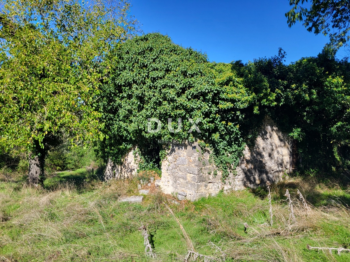 ISTRA, BOLJUN - Dve samostojni kamniti hiši z 18.000 m2 zemljišča