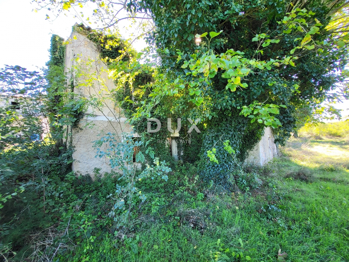 ISTRA, BOLJUN - Dve samostojni kamniti hiši z 18.000 m2 zemljišča