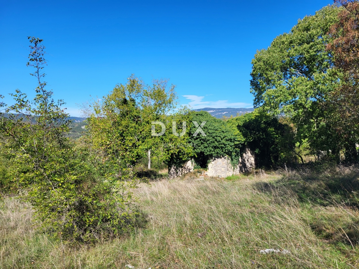 ISTRA, BOLJUN - Dve samostojni kamniti hiši z 18.000 m2 zemljišča