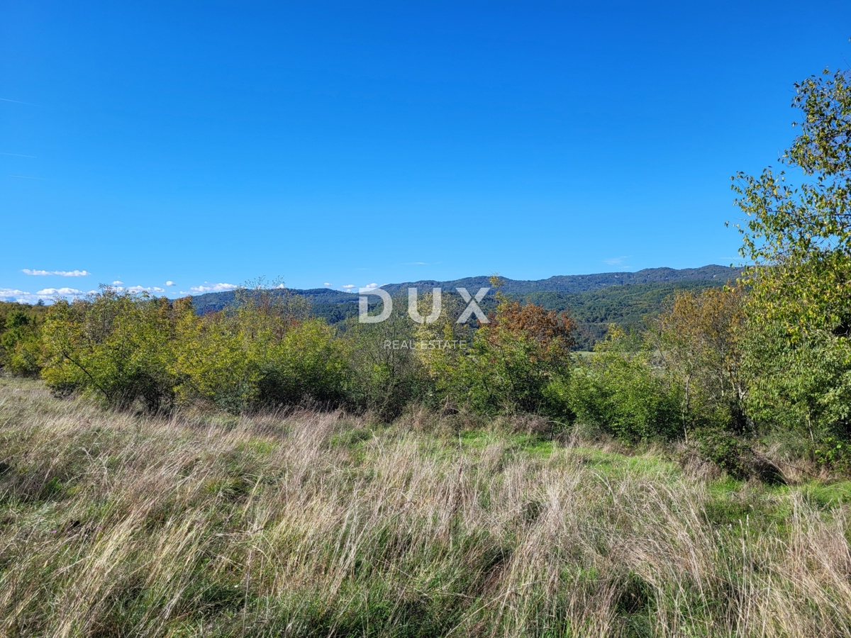 ISTRA, BOLJUN - Dve samostojni kamniti hiši z 18.000 m2 zemljišča