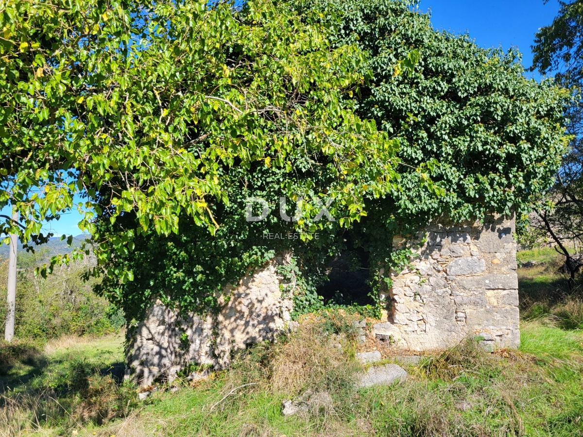 ISTRA, BOLJUN - Dve samostojni kamniti hiši z 18.000 m2 zemljišča