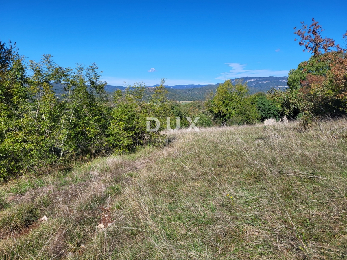 ISTRA, BOLJUN - Dve samostojni kamniti hiši z 18.000 m2 zemljišča