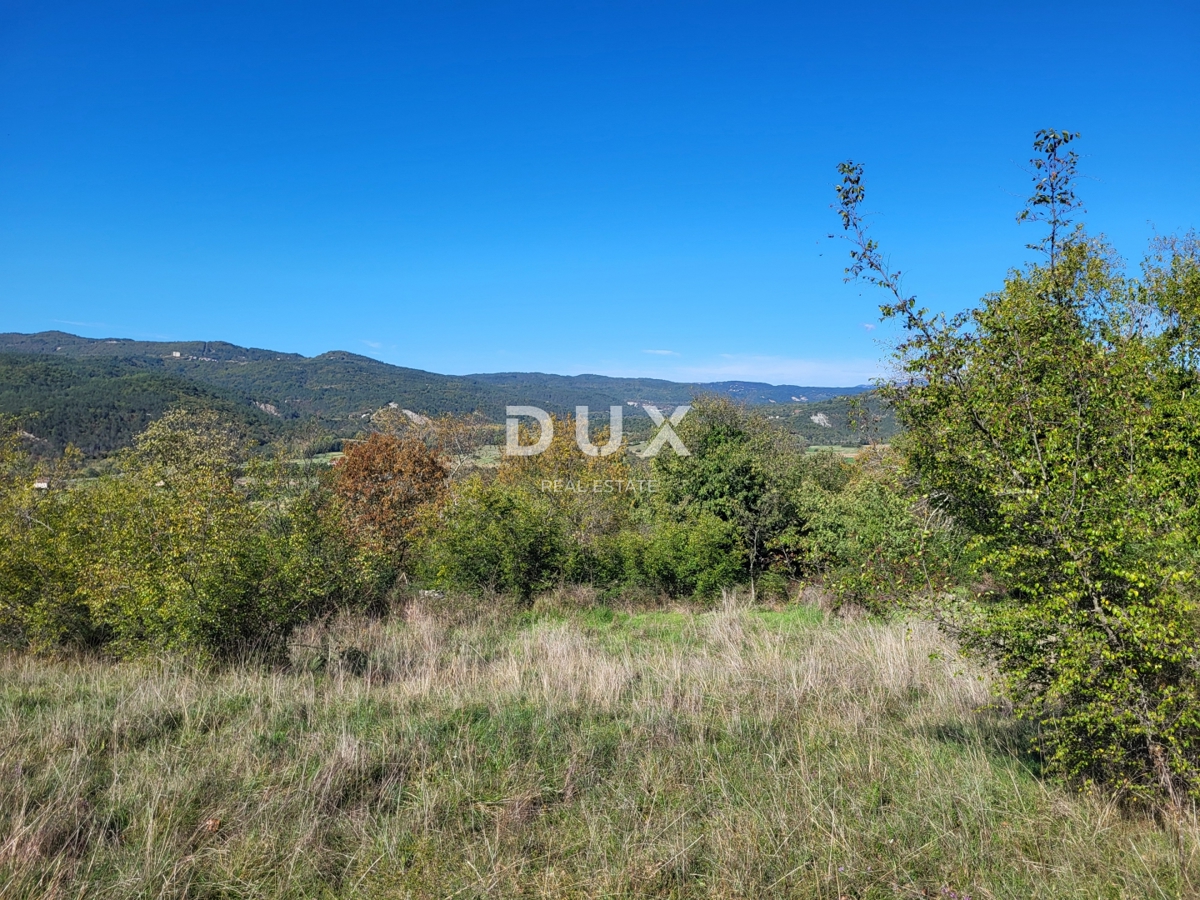 ISTRA, BOLJUN - Dve samostojni kamniti hiši z 18.000 m2 zemljišča