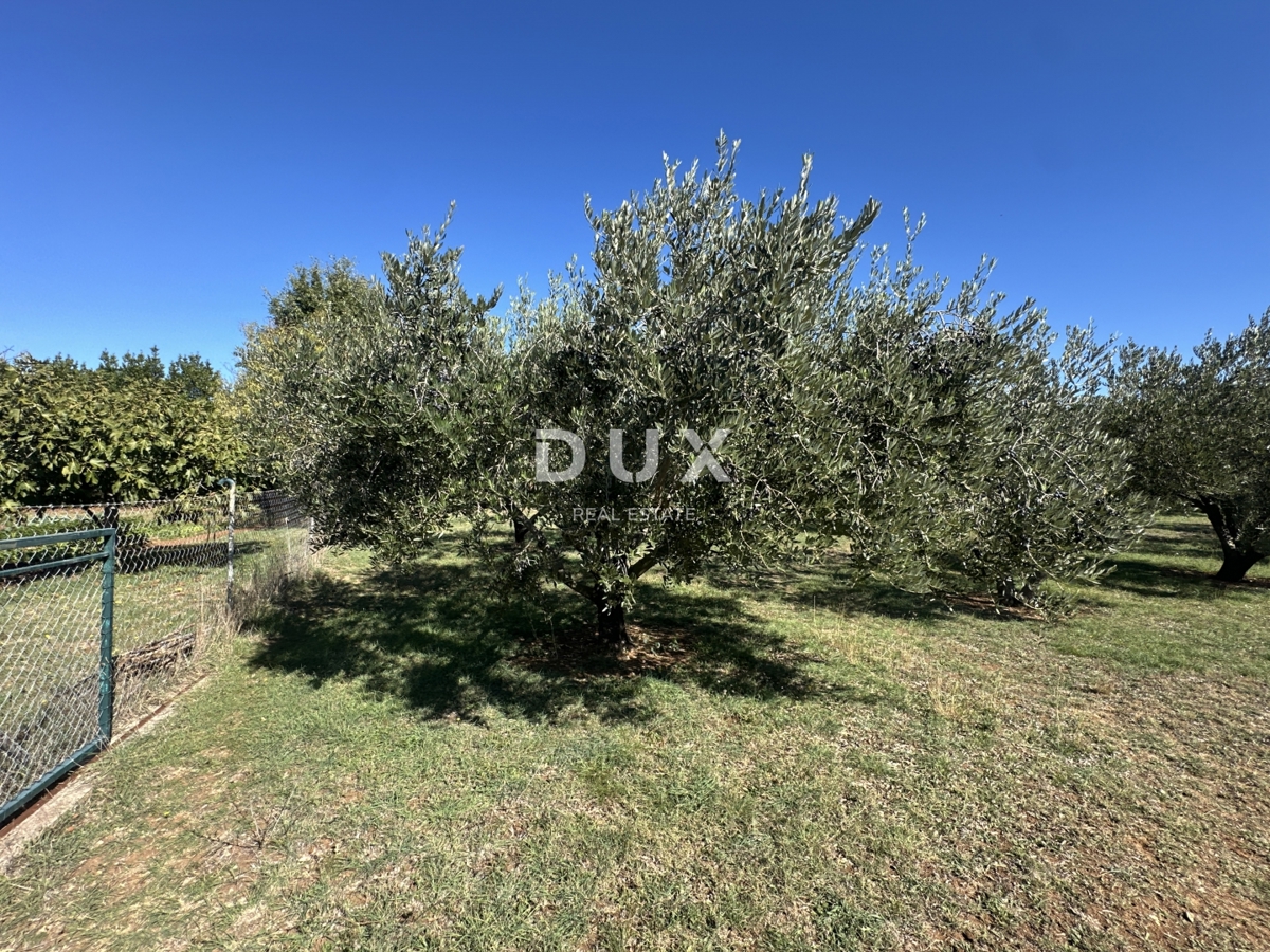 ZADAR, VRSI – Privlačno zemljišče v mirni vasi! A3