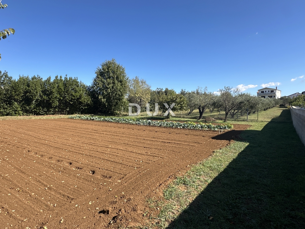 ZADAR, VRSI – Privlačno zemljišče v mirni vasi! A3