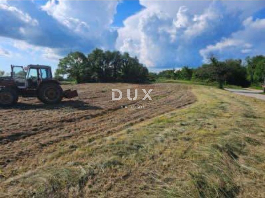 ISTRA, ŽMINJ – Gradbeno zemljišče 1.410 m² na mirni lokaciji