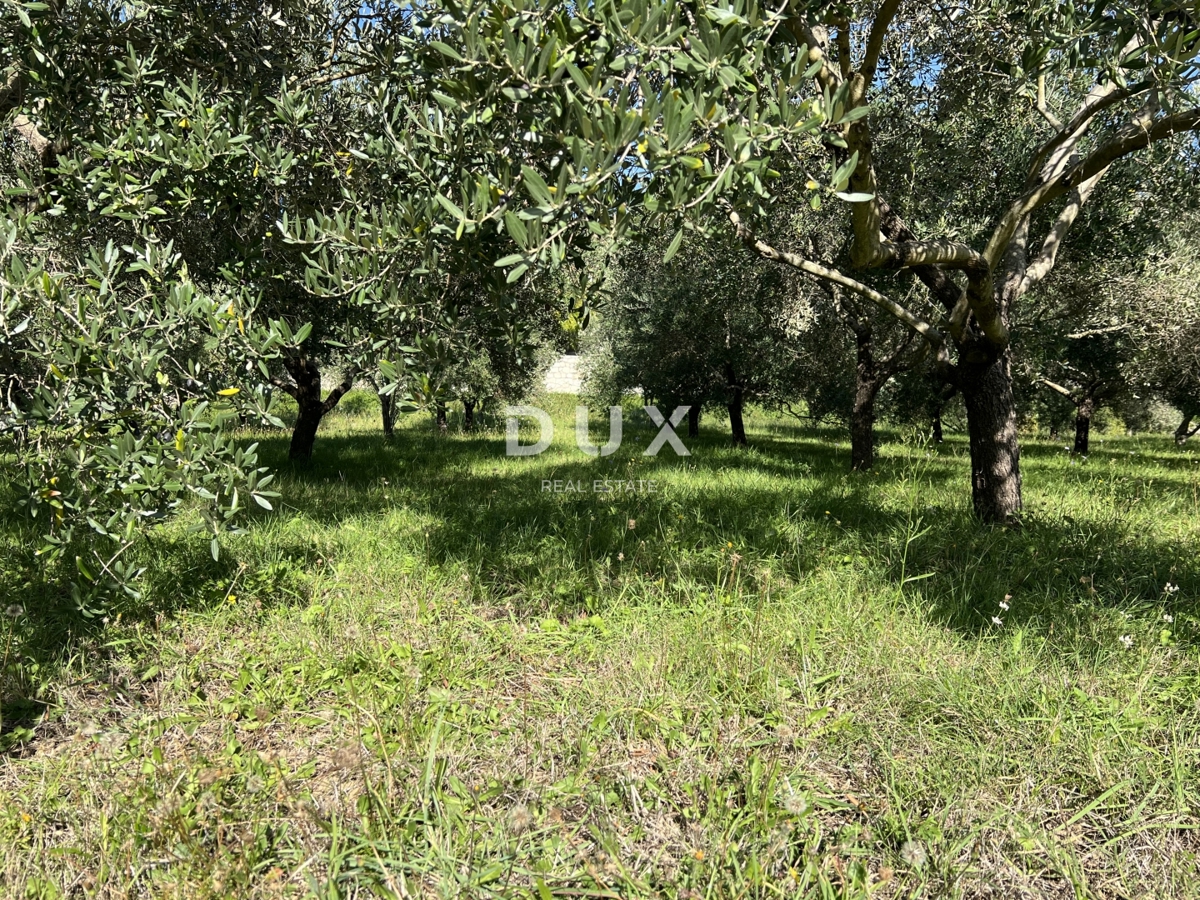 OTOK RAB, KAMPOR – gradbeno zemljišče 500 m od morja