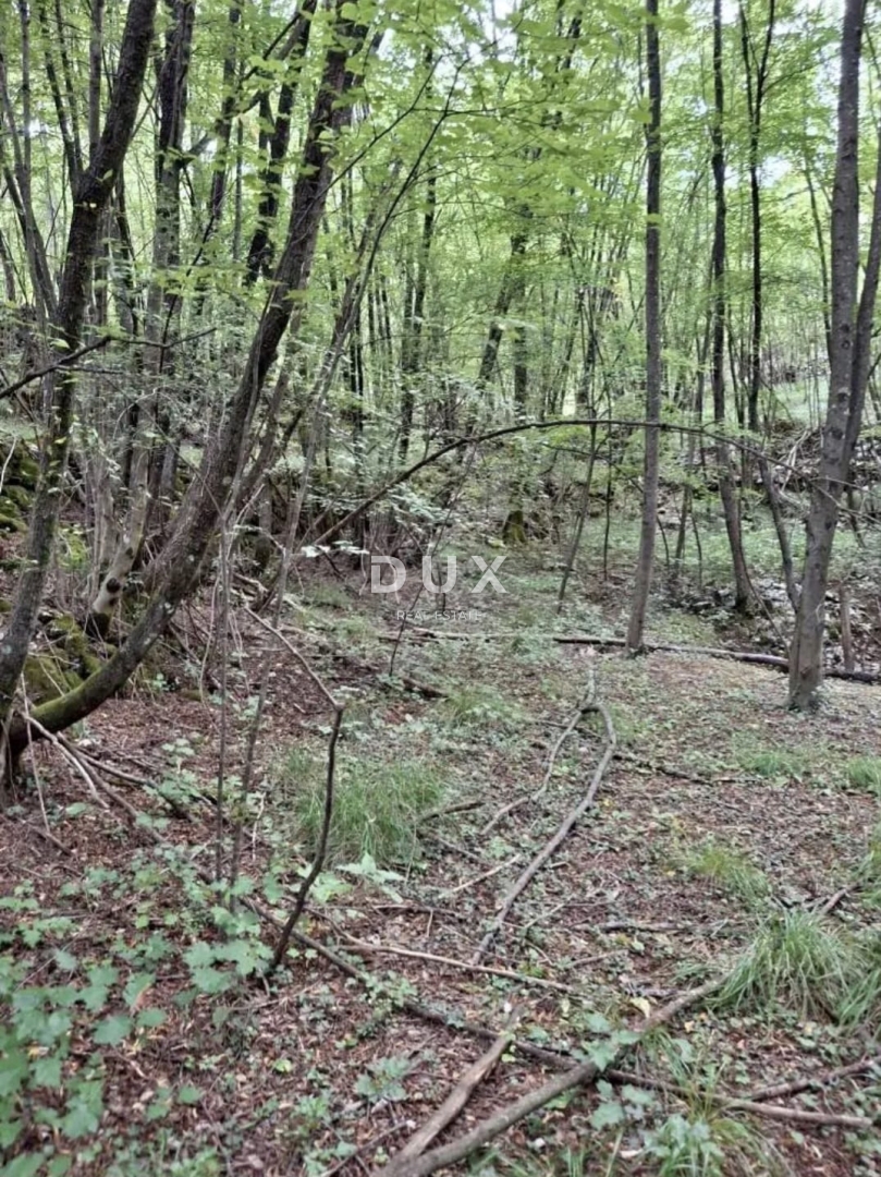 RIJEKA, VIŠKOVO - Kmetijsko zemljišče