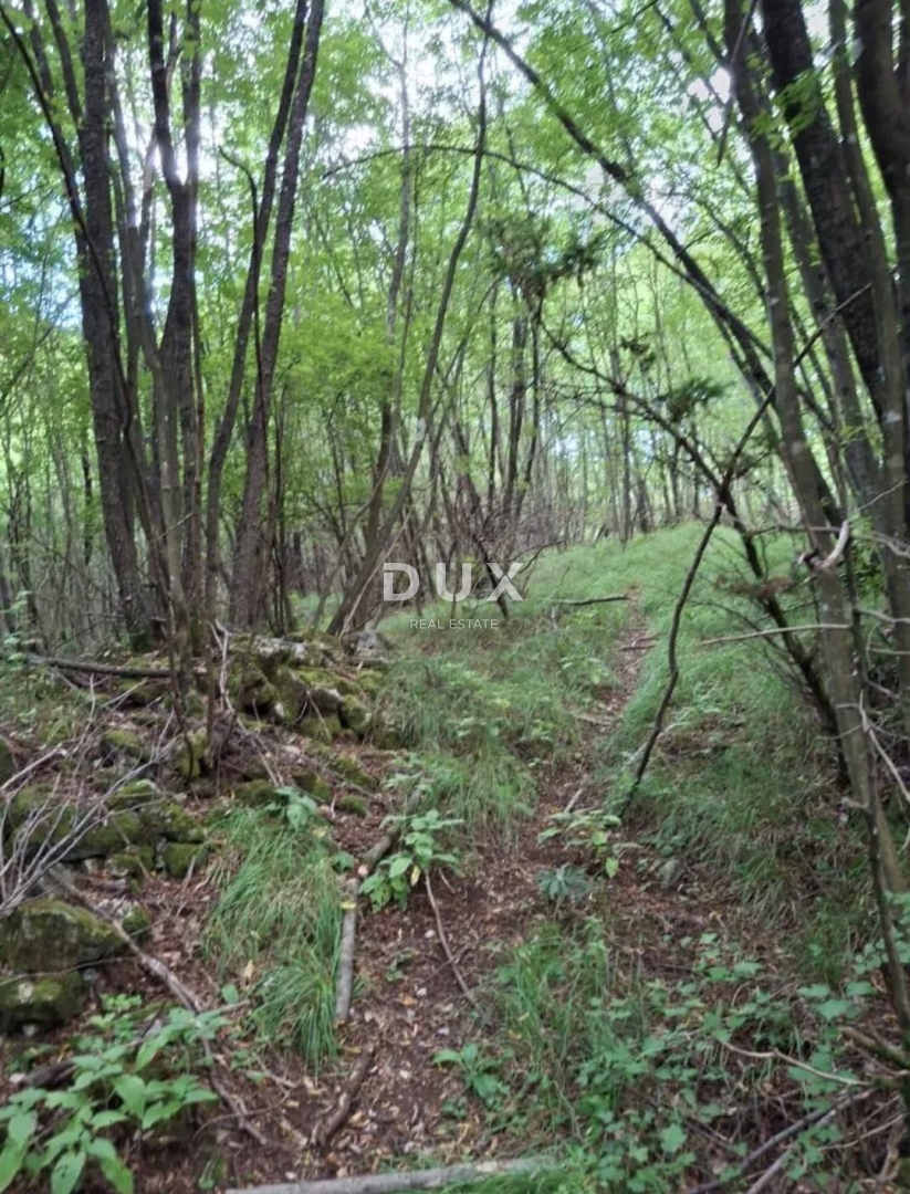 RIJEKA, VIŠKOVO - Kmetijsko zemljišče