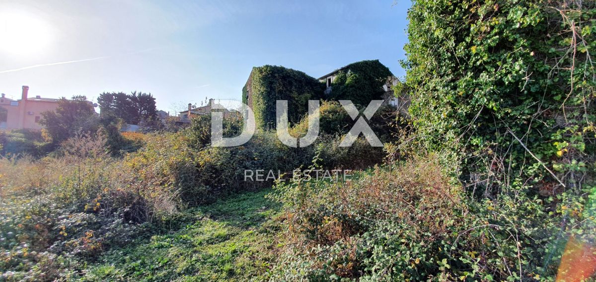 ISTRA, MOMJAN – Privlačno zemljišče z razgledom in kamnitimi stavbami