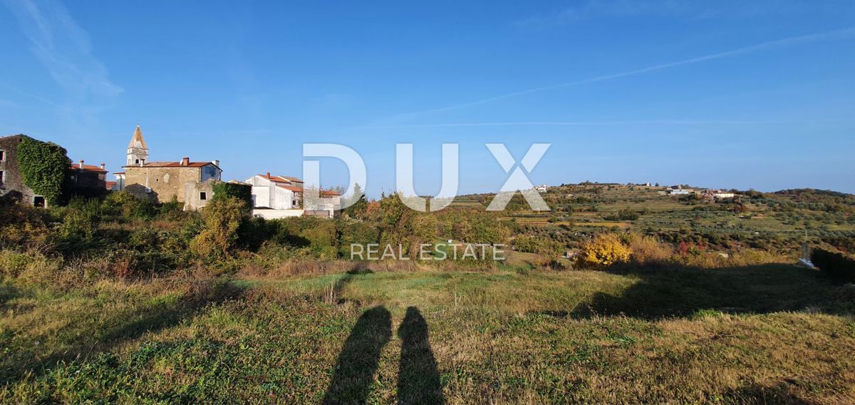 ISTRA, MOMJAN – Privlačno zemljišče z razgledom in kamnitimi stavbami
