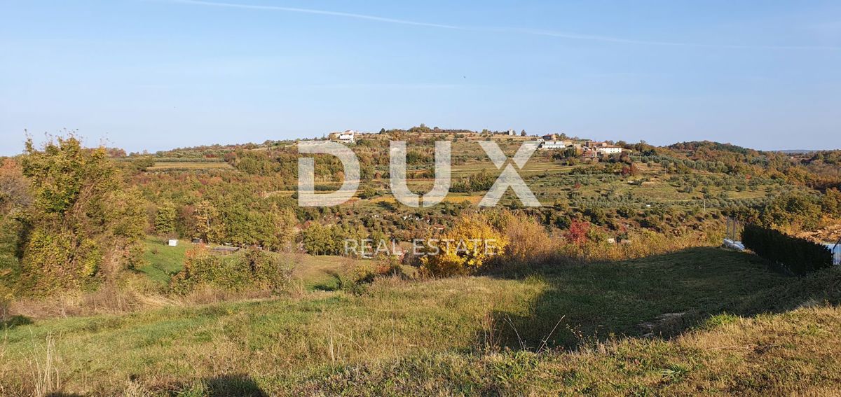 ISTRA, MOMJAN – Privlačno zemljišče z razgledom in kamnitimi stavbami