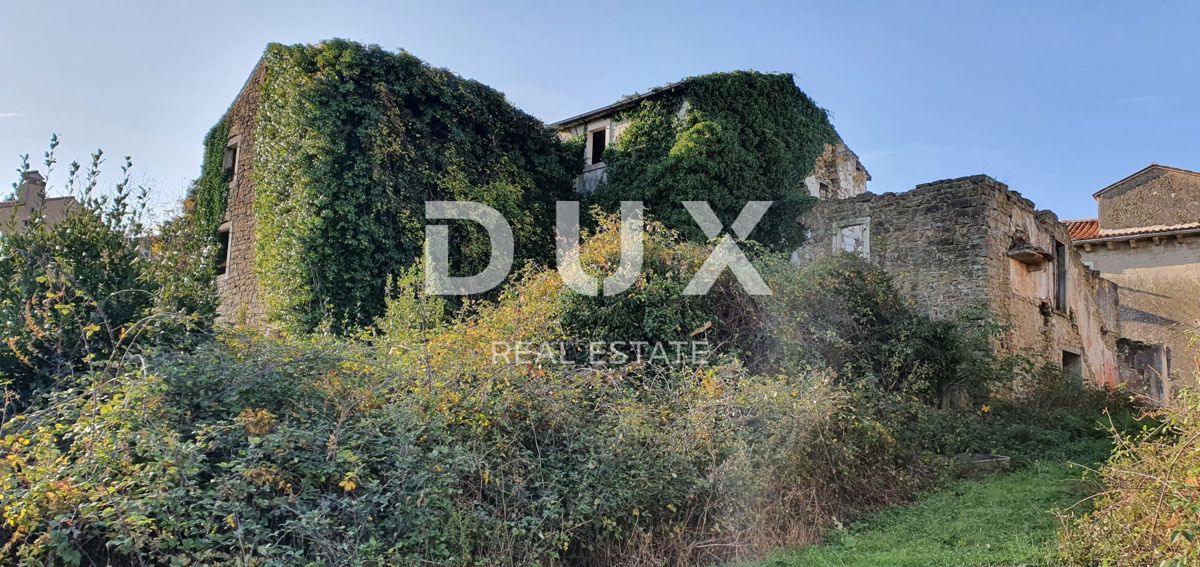 ISTRA, MOMJAN – Privlačno zemljišče z razgledom in kamnitimi stavbami