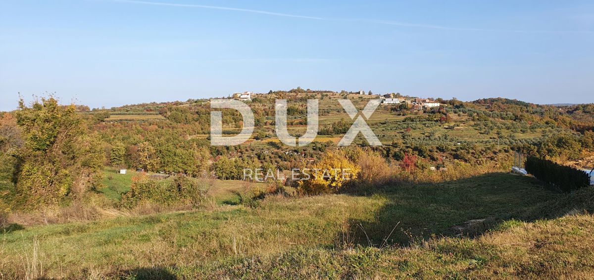 ISTRA, MOMJAN – Privlačno zemljišče z razgledom in kamnitimi stavbami