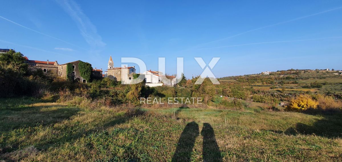 ISTRA, MOMJAN – Privlačno zemljišče z razgledom in kamnitimi stavbami