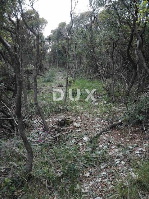 ISTRA, RAKALJ - Zemljišče v prvi vrsti do morja