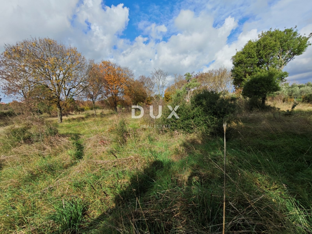 Zemljišče Šikići, Pula, 3.298m2