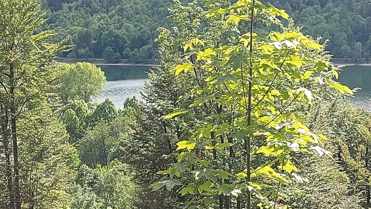 GORSKI KOTAR, FUŽINE - edinstven projekt v osrčju Gorskega Kotarja, zazidljivo zemljišče 3340 m2 s projektom za vilo, investicijska priložnost!