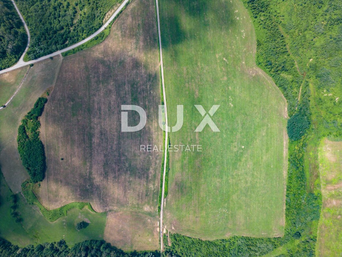 VRGINMOST, BLATUŠA - Večja nepremičnina z dobro utečeno dejavnostjo! 40 hektarjev zemlje!