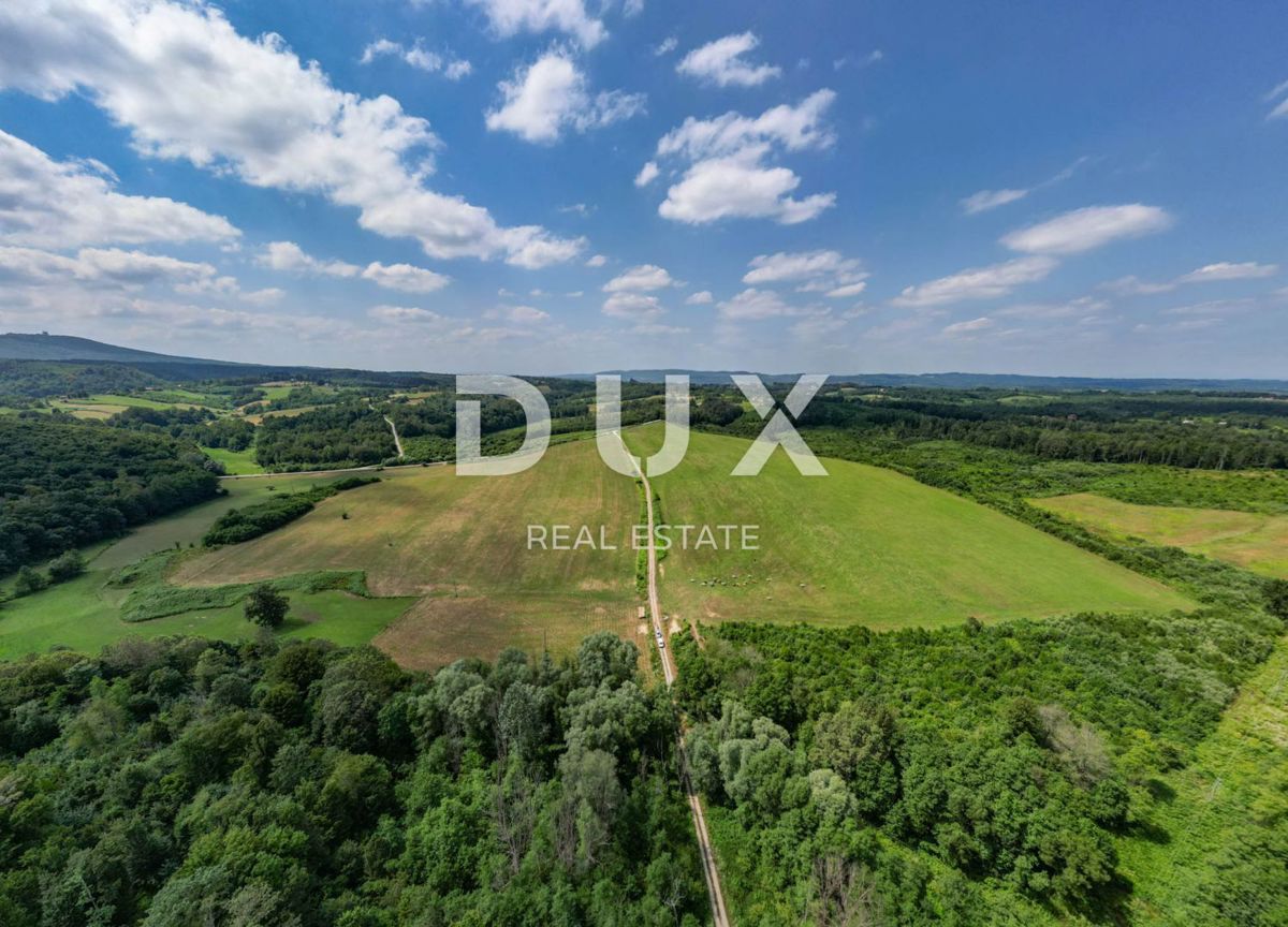 VRGINMOST, BLATUŠA - Večja nepremičnina z dobro utečeno dejavnostjo! 40 hektarjev zemlje!