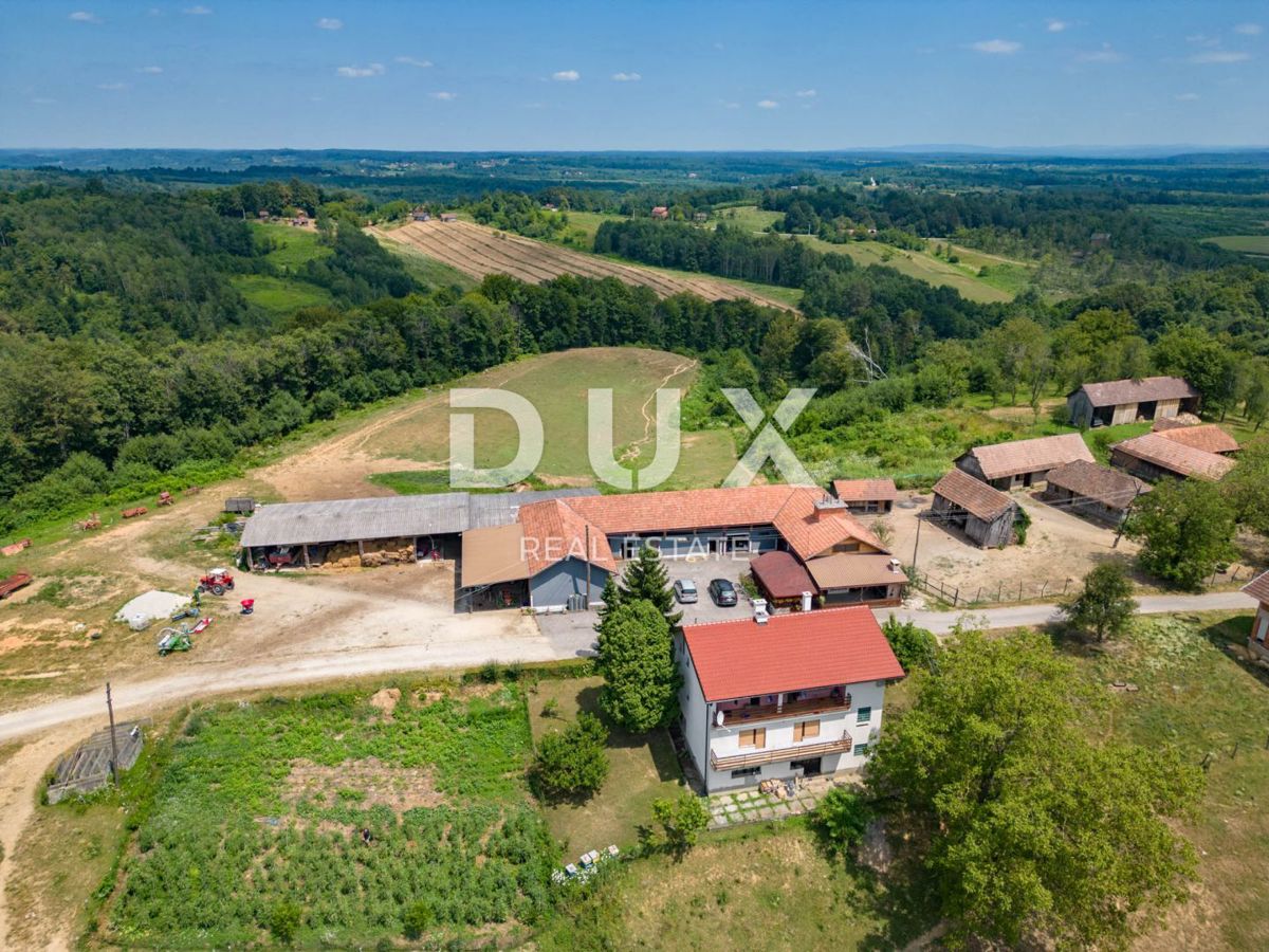 VRGINMOST, BLATUŠA - Večja nepremičnina z dobro utečeno dejavnostjo! 40 hektarjev zemlje!