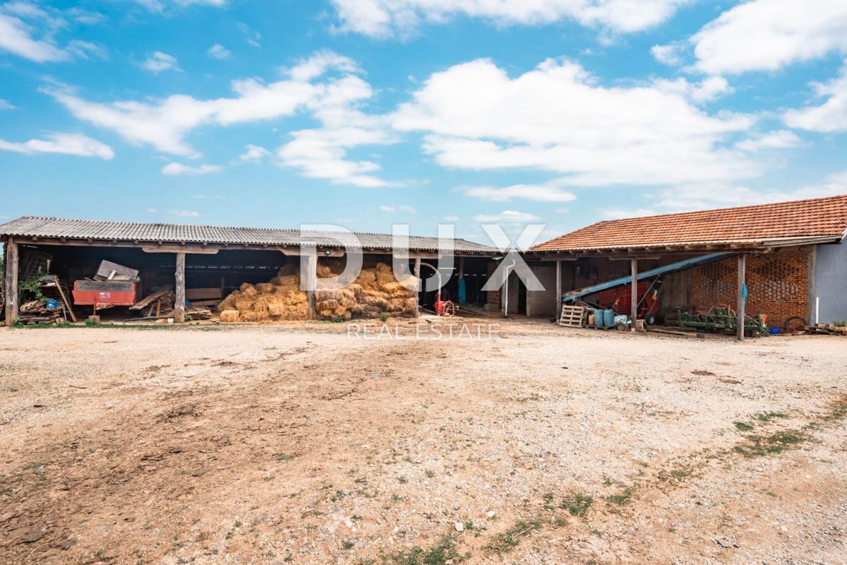 VRGINMOST, BLATUŠA - Večja nepremičnina z dobro utečeno dejavnostjo! 40 hektarjev zemlje!