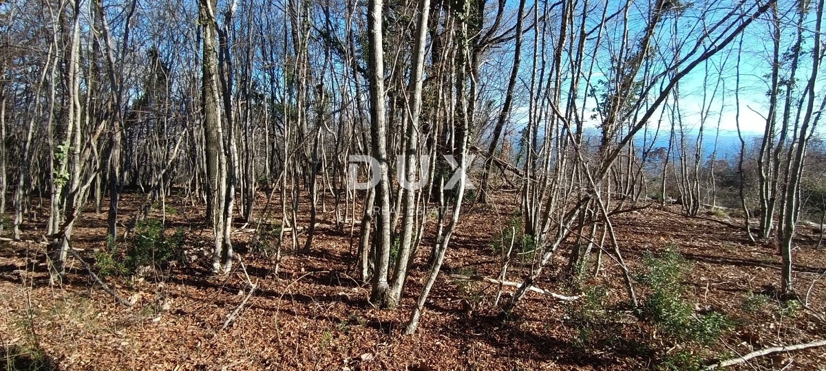 Zemljišče Bregi, Matulji, 6.432m2