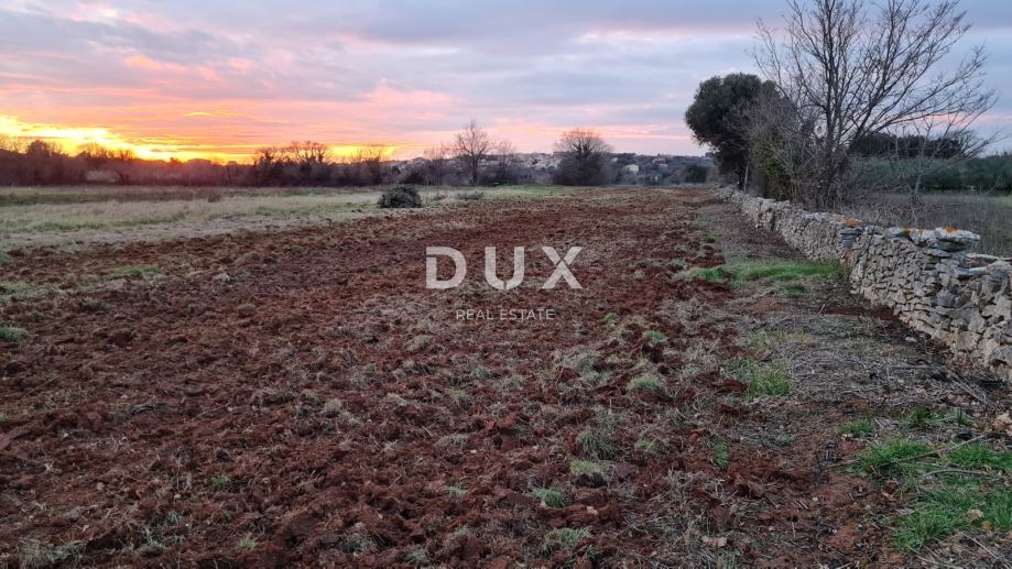 Zemljišče Ližnjan, 3.700m2