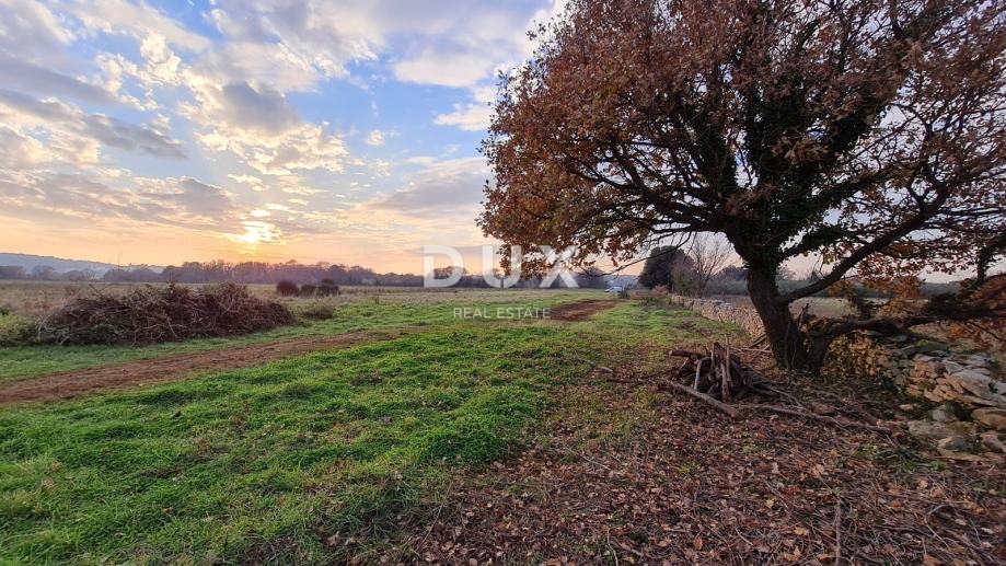 Zemljišče Ližnjan, 3.700m2