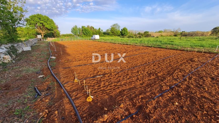 Zemljišče Ližnjan, 3.700m2