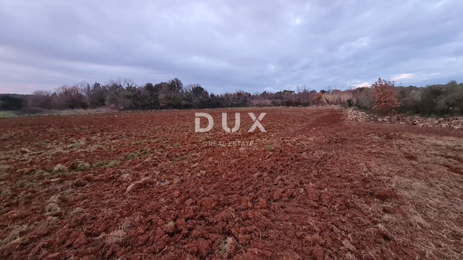 Zemljišče Ližnjan, 3.700m2