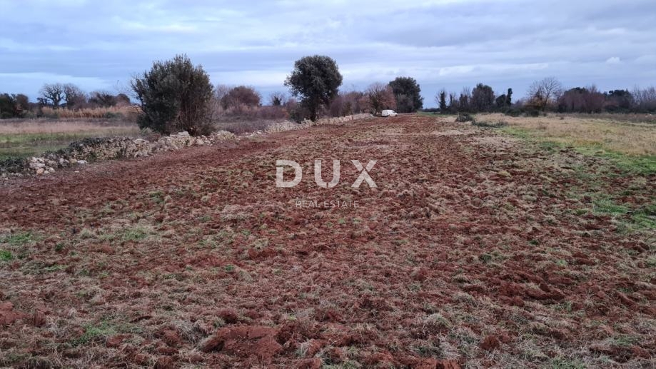 Zemljišče Ližnjan, 3.700m2