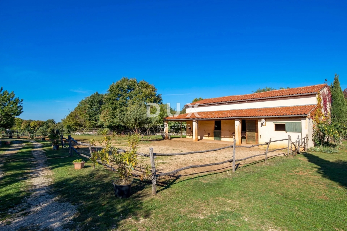 ISTRA, SVETVINČENAT - Prostrana istrska posest