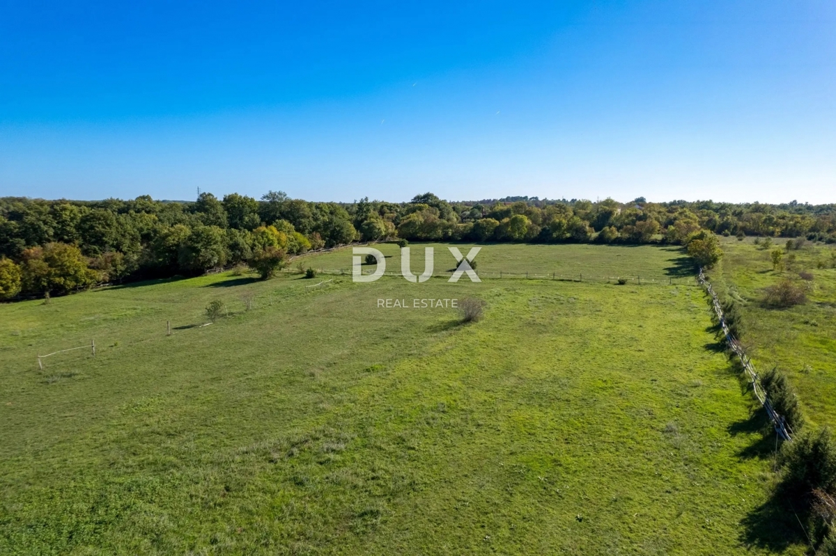 ISTRA, SVETVINČENAT - Prostrana istrska posest