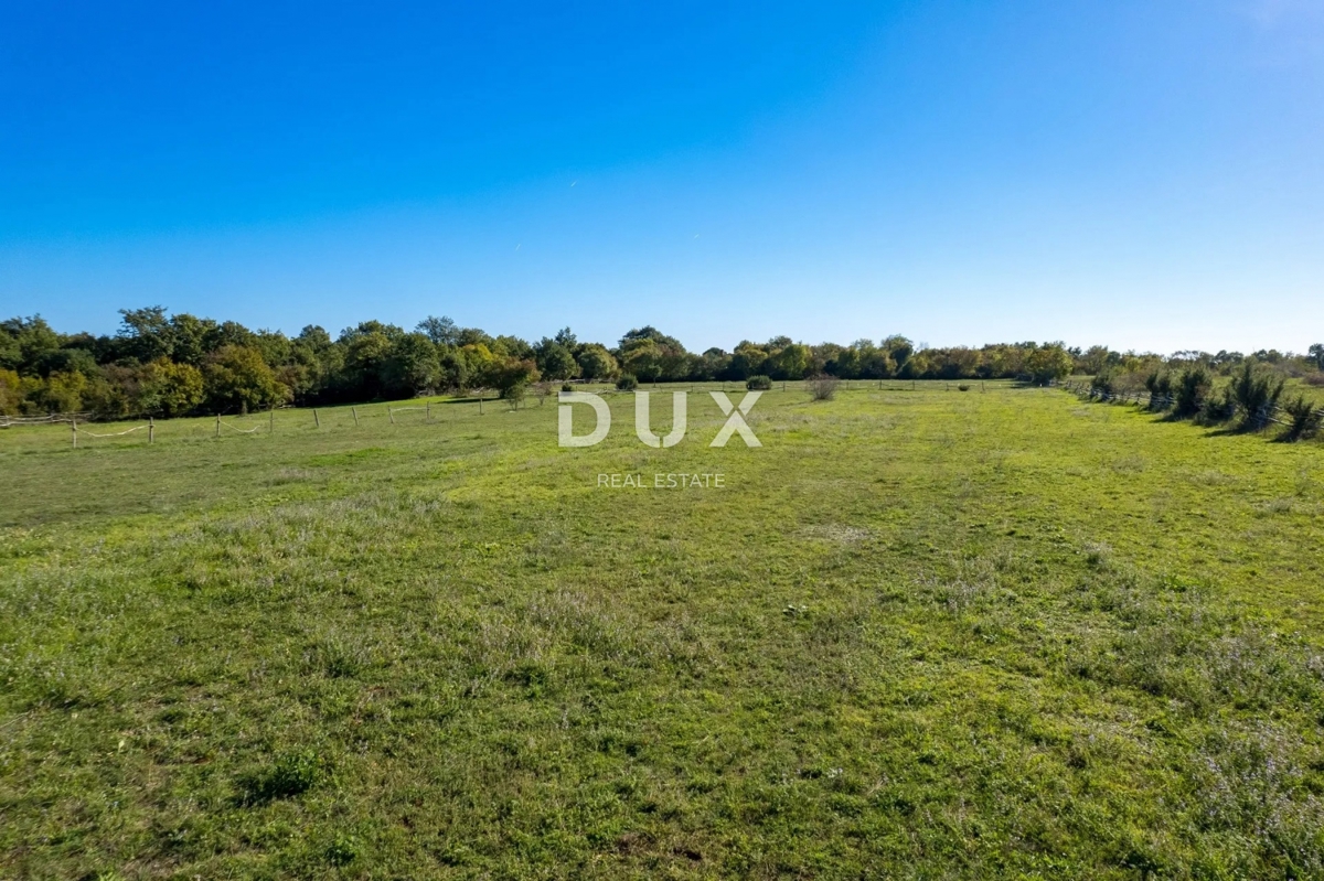 ISTRA, SVETVINČENAT - Prostrana istrska posest