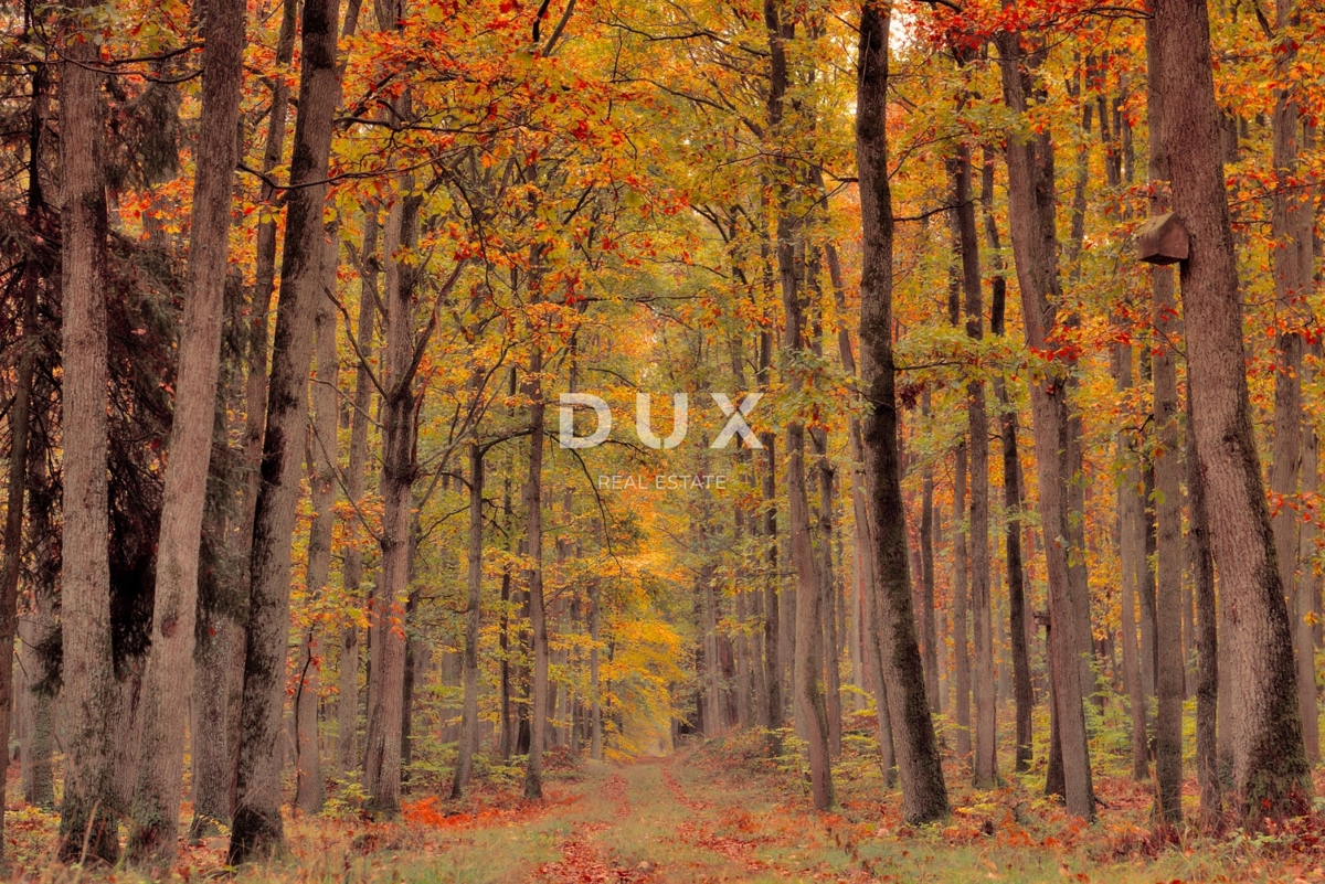 Zemljišče Bosiljevo, 23.931m2