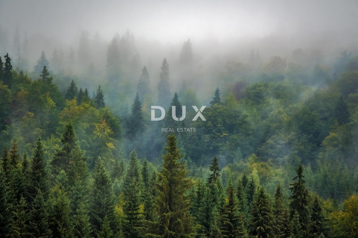 Zemljišče Bosiljevo, 23.931m2