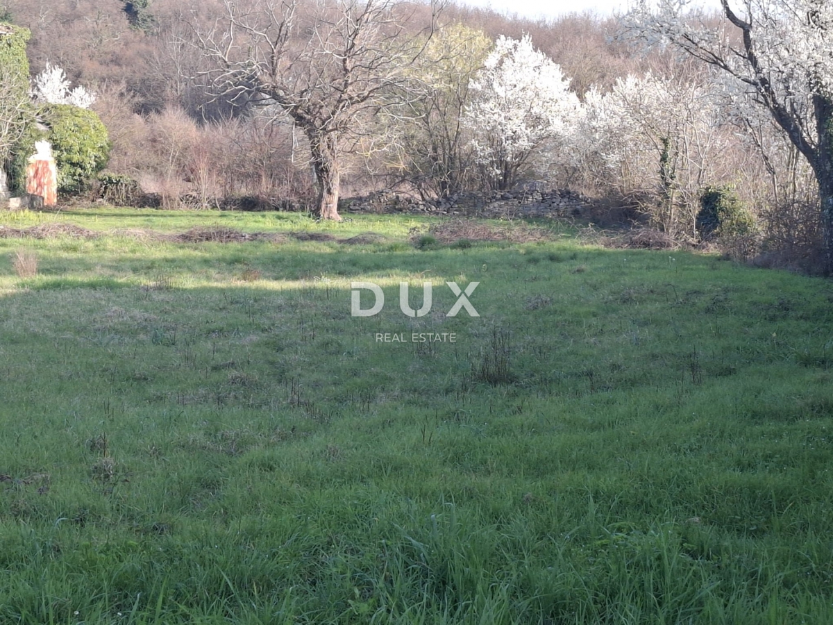 Hiša Kanfanar, 230m2